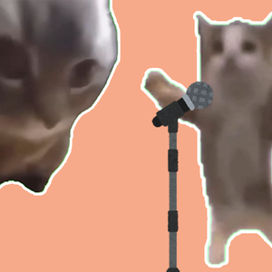 chipi猫但是happy猫演唱