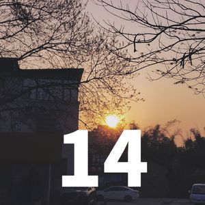 14