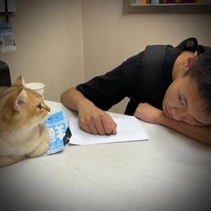 她说的每句话我都不会觉得刺耳