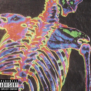 ribcage