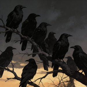 天下的乌鸦一般黑