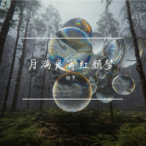 月满良宵红颜梦