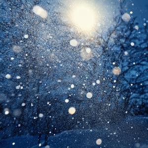 눈에게 묻는다 너의 안부를