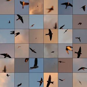 Let There Be Light Again