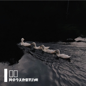 起风了（cover-买辣椒也用卷）