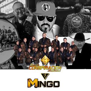 Pantera (feat. El Mingo)
