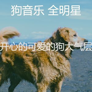 一尘不染小狗印象数