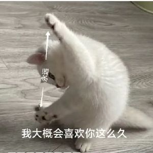 【免费可商用】Beat fly away（无水印）