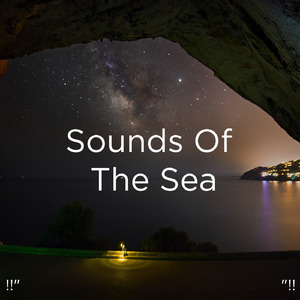 Le Bruit De L'Océan Pour Étudier