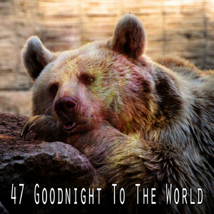 通過寧靜尋找睡眠