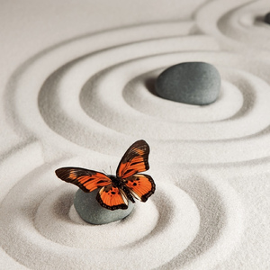 ソナーレ 第二楽章