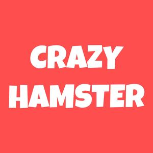 Crazy Hamster