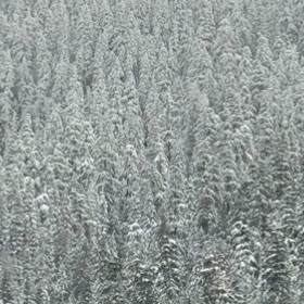 没你的冬天还没下雪就变冷