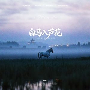 白马入芦花