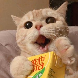 留在我的身边（Prod.By PUNISHME）