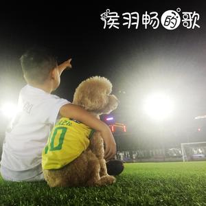 我是一只美丽的猪