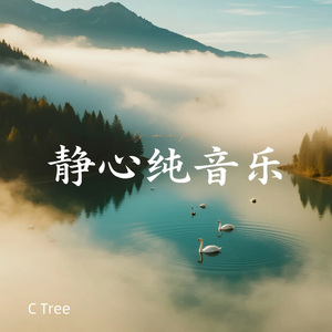 心湖微澜|静心纯音乐