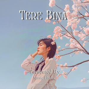 Tere Bina