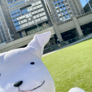 はじまりのうた (Live at おんがくのじかん, 20250208)