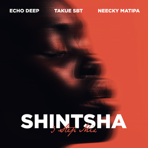 Shintsha (feat. Neecky Matipa)
