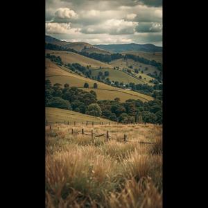 Country Boy (feat. 3qntc)