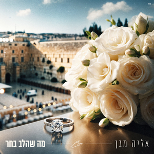 מה שהלב בחר