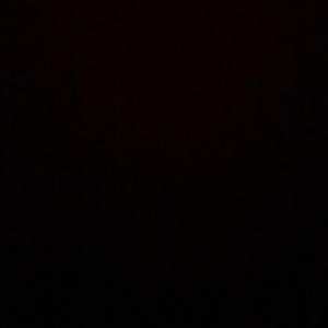 BackDoe (feat. 556Zoo)