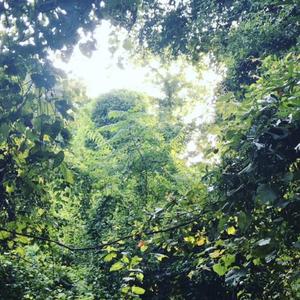 afterglow (with sayuw)