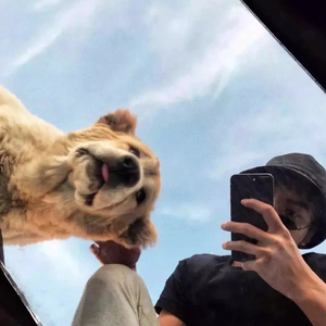 祖先森RMix-Mevnna Rmix（祖先森RMix remix）