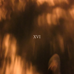 ⅩⅥ