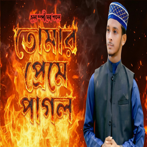 তোমার প্রেমে পাগল
