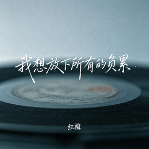 我想放下所有的负累