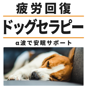 愛犬のリラックス時間