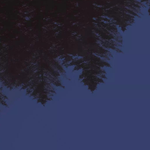 逐渐消失的星空