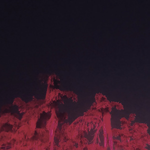 不坦率恋爱日记