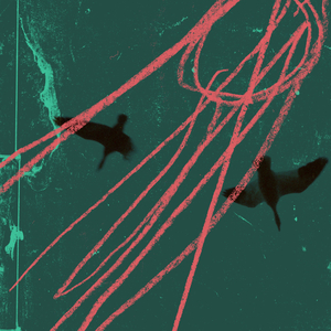 Combler l'absence (Radio Edit)