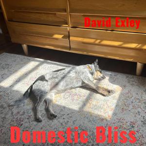 Domestic Bliss (2026)