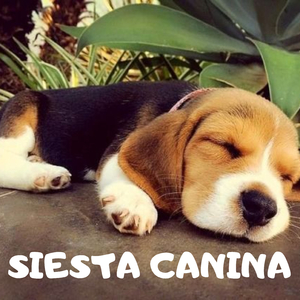 TUMBARSE Y RELAJARSE
