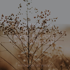 Viaje de dosel resplandeciente