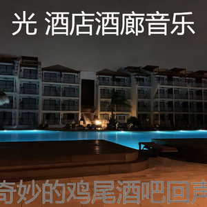 柔和的鸡尾酒吧时刻