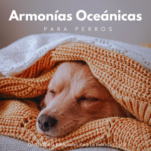 Aumento De Comodidad Canina