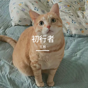 空城晚风寄孤眠