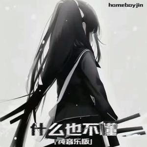什么也不懂  (纯音乐版)