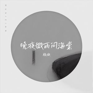 晚夜微雨问海棠（live）