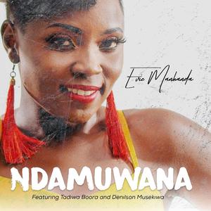 Ndamuwana (feat. Denilson Musekiwa & Tadiwa Boora)