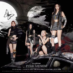 PINK VENOM【翻自BP】