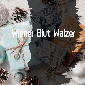 Wiener Blut Walzer 6
