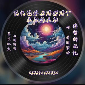 停留的记忆
