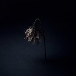 연연불망 (戀戀不忘)