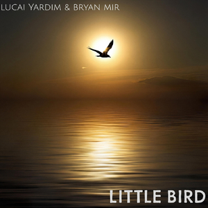 Little Bird